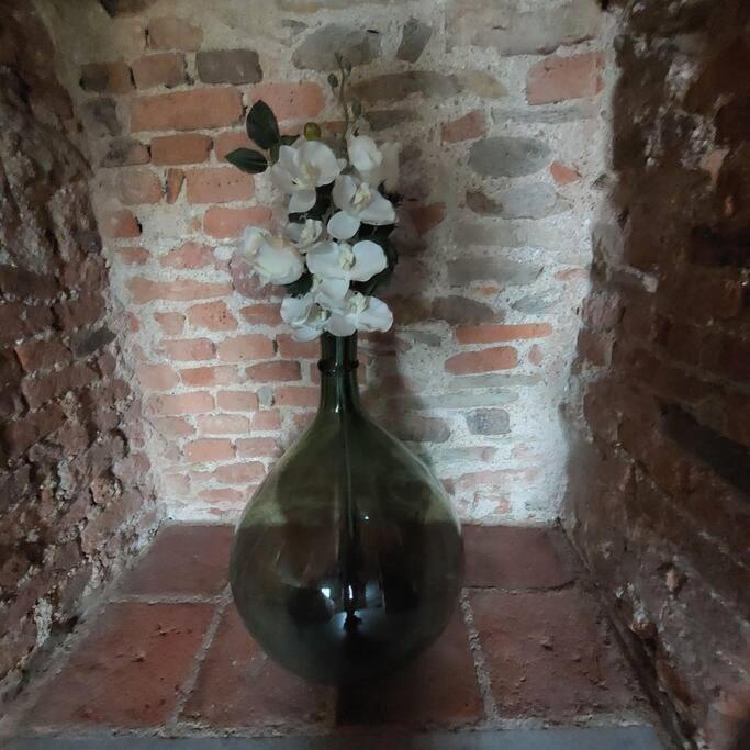 Appartamento Istanti - Rosmarino Costigliole Saluzzo Esterno foto